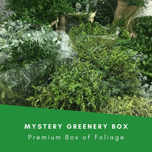 Mystery Greenery Boxes (Inc VAT)