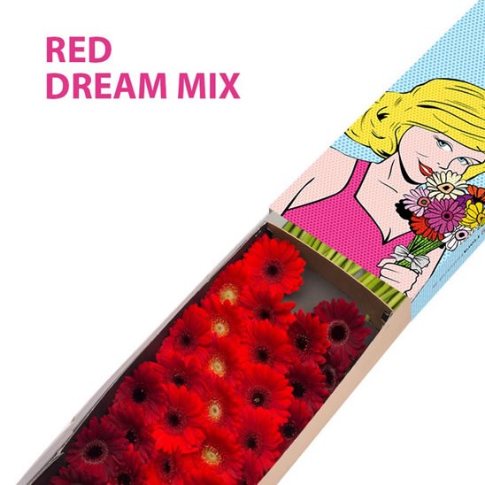 GERMINI RED DREAM MIX (secure boxed)