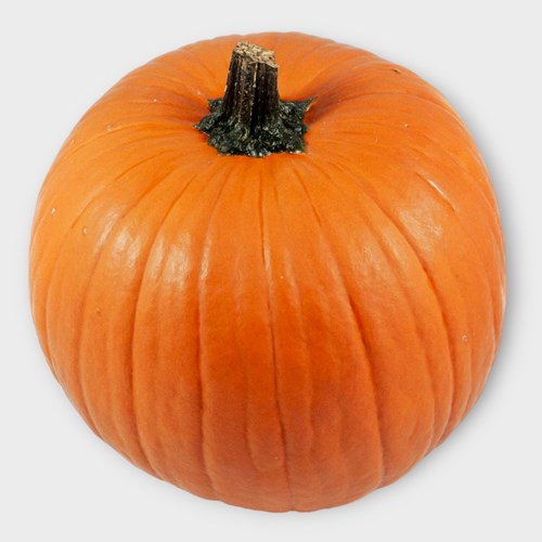 GOURDS - CUCURBITA HALLOWEEN