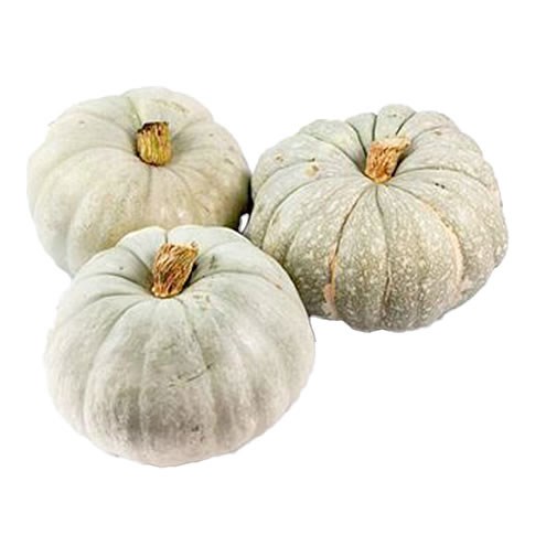 GOURDS - CUCURBITA JARRAHDALE