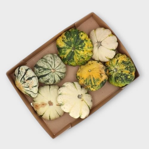 GOURDS - CUCURBITA PATISSON MIX