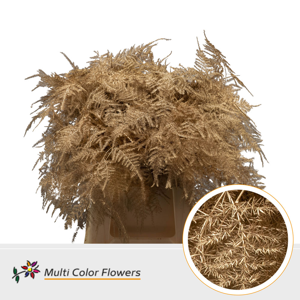 Asparagus Fern Dyed Antique Gold