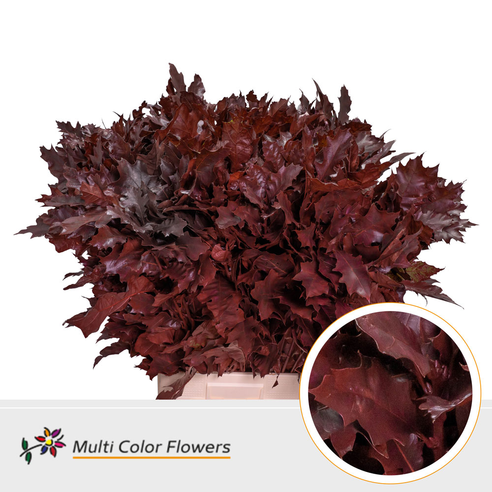 Oak Leaves Dyed Burgundy