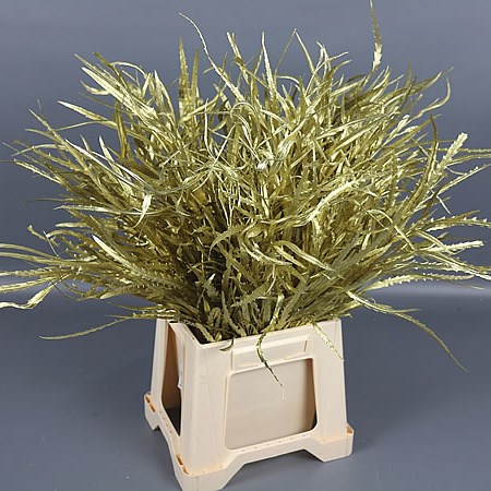GREVILLEA DYED GOLD
