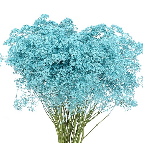 GYPSOPHILA DYED BLUE ICE