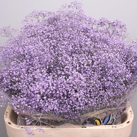 Gypsophila paniculata artificial CECILIA, violeta, 95cm, Ø1cm