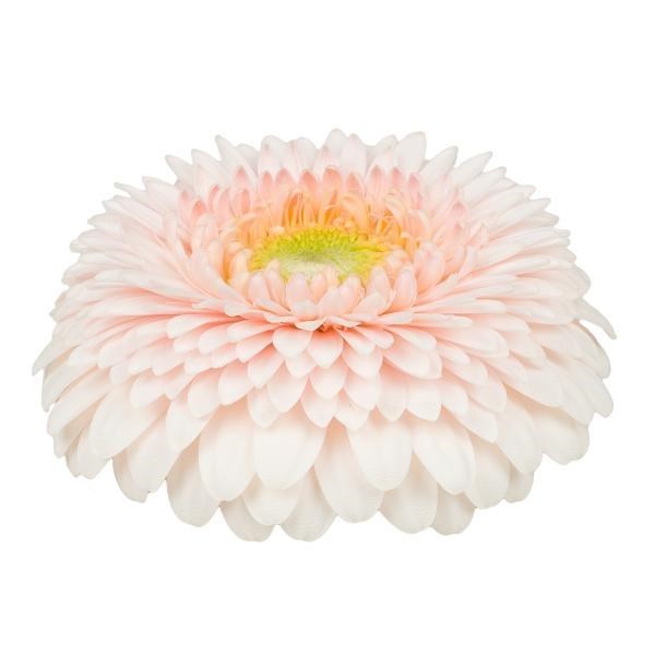 Germini Gerponi Sweetness (Bunched)