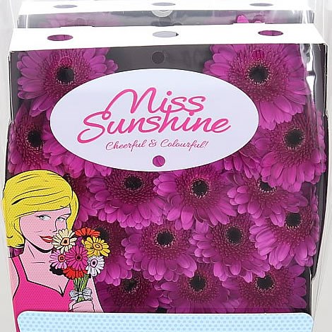 Germini Picture Perfect (Secure Packed)
