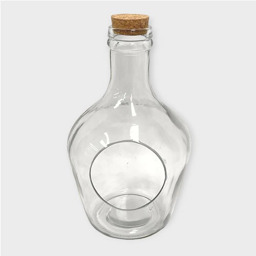 Glass Bottle Terrarium with Cork 30cm Wholesale Florist Supplies