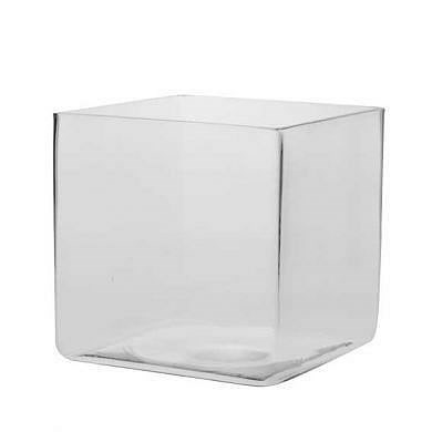 Glass Cube Vase - 20cm