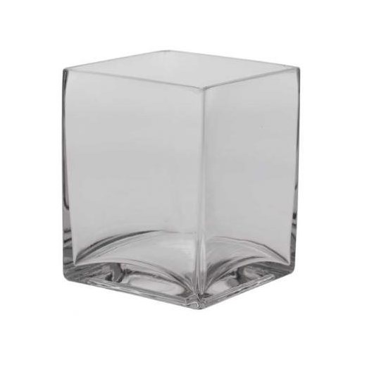 Glass Tank Vase - 15 x 12 x 12cm