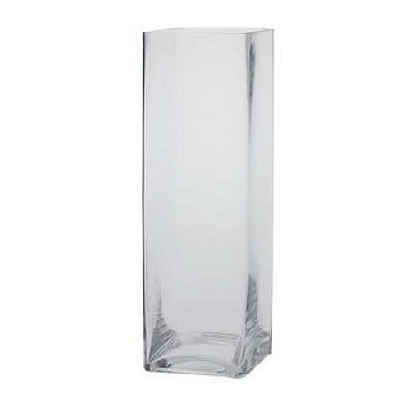 Glass Tank Vase - 40 x 13 x 13cm