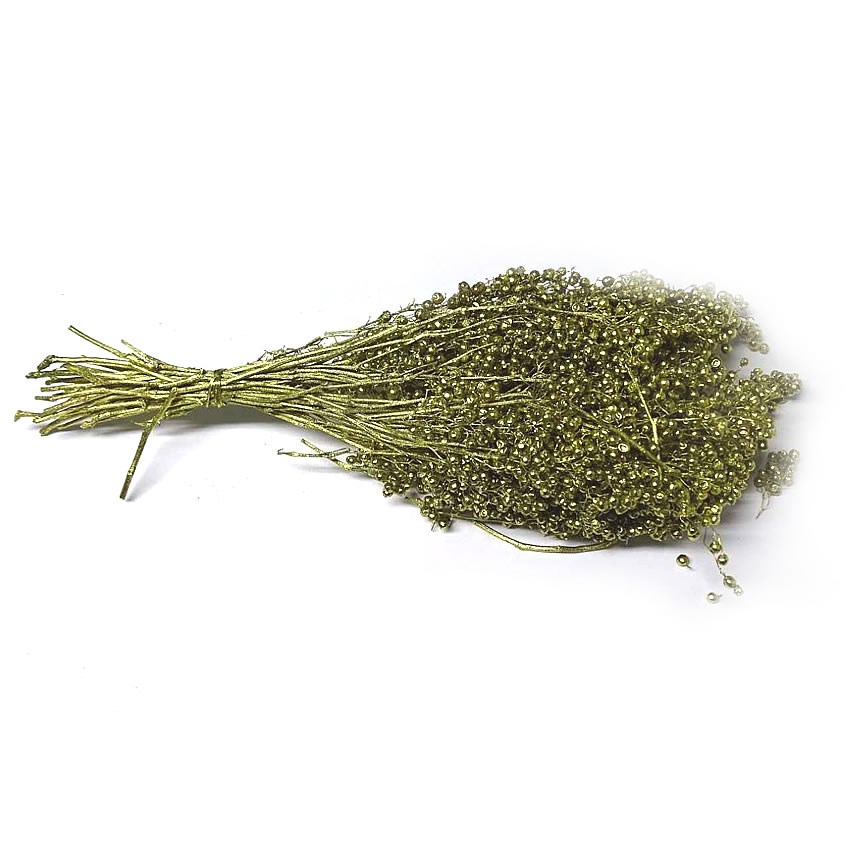 Pepper Berries Gold (Schinus Molle )