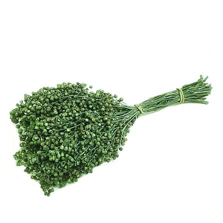 Pepper Berries Dyed Green (Schinus Molle )