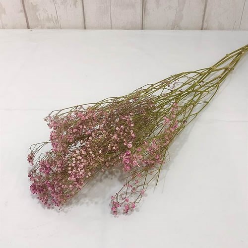 Gypsophila Dyed Pink (Dried)
