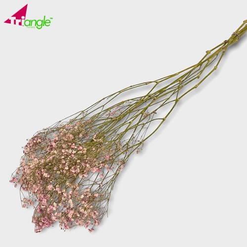 Gypsophila Dyed Pink (Dried) 70cm Wholesale Dried Flowers UK