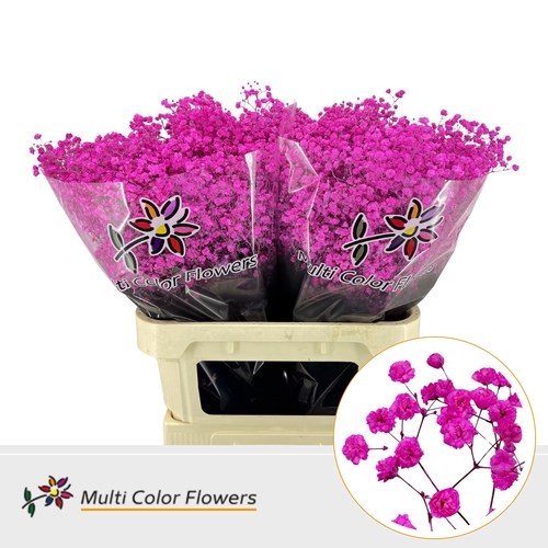 Gypsophila Large Dyed Hot Pink