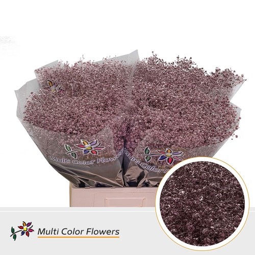 Gypsophila Large Dyed Rose Gold