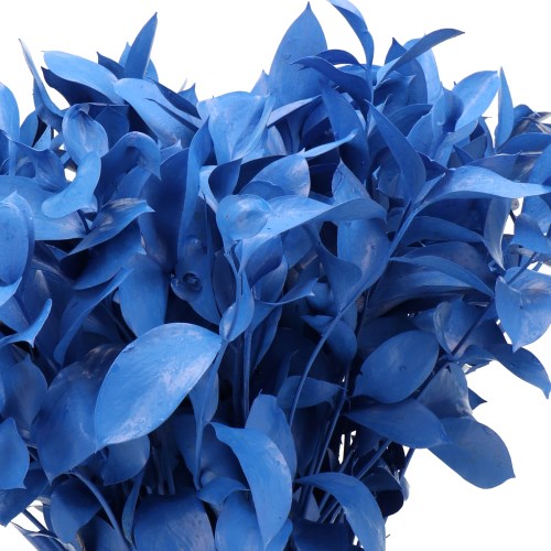 HARD RUSCUS DYED DARK BLUE