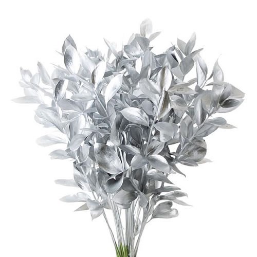 HARD RUSCUS DYED SILVER