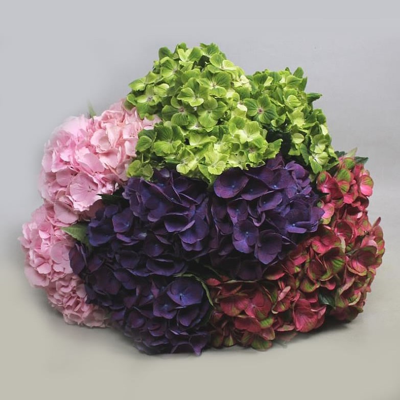 HYDRANGEA MIX (COLS MAY VARY)