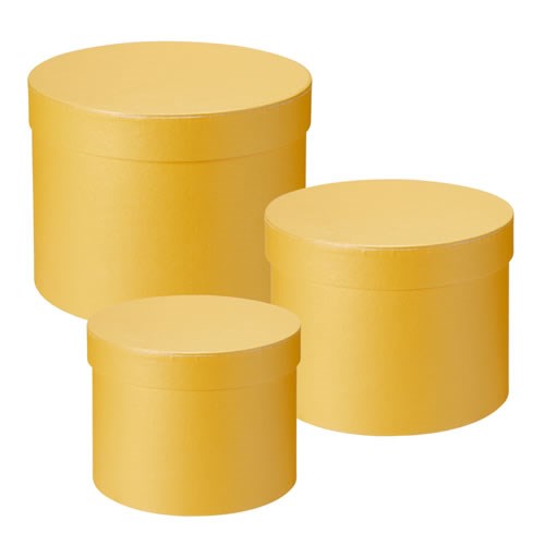 Hat Boxes Symhony Yellow Round Set of 3 Wholesale Dutch Flowers UK