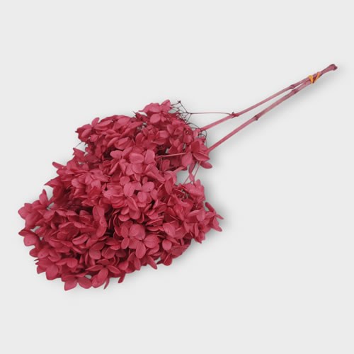 Hydrangea Preserved Pink/Red (2 Stems)