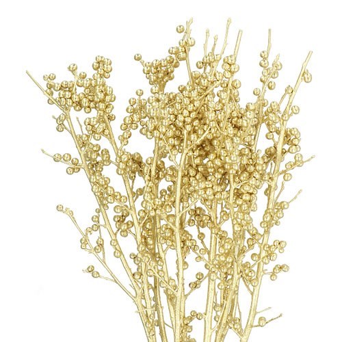 ILEX DYED GOLD