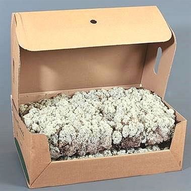 Iceland Moss (Dried)