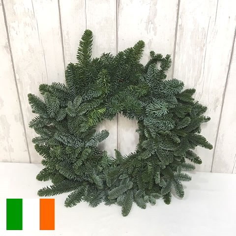 Spruce Ring Green (Irish) 50cm/18