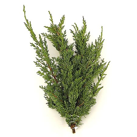 Juniper (3Kg Bundle)