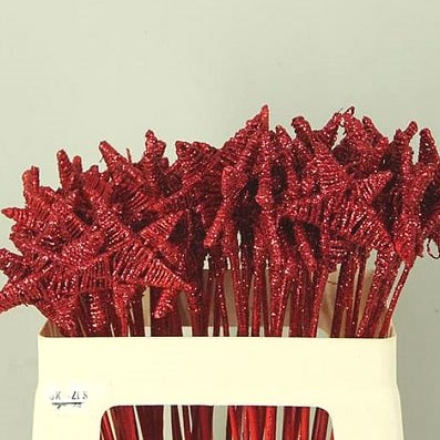 LATA STARS RED + GLITTER