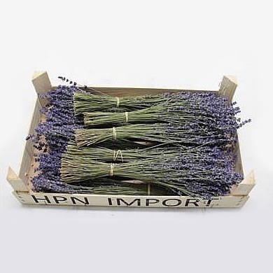 LAVENDER BLUE (DRIED)