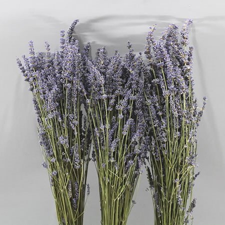 LAVENDER (DRIED)
