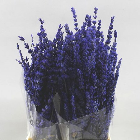 LAVENDER PRESERVED