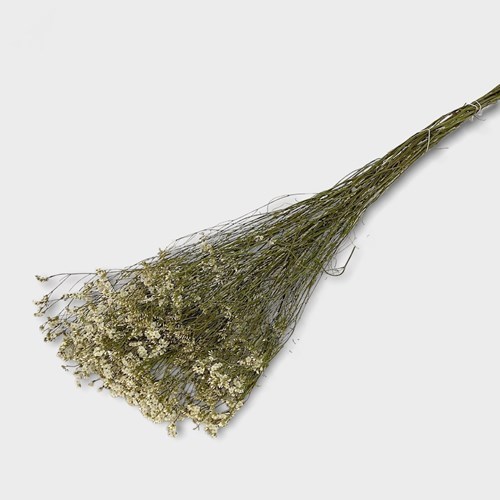Limonium White (Dried)