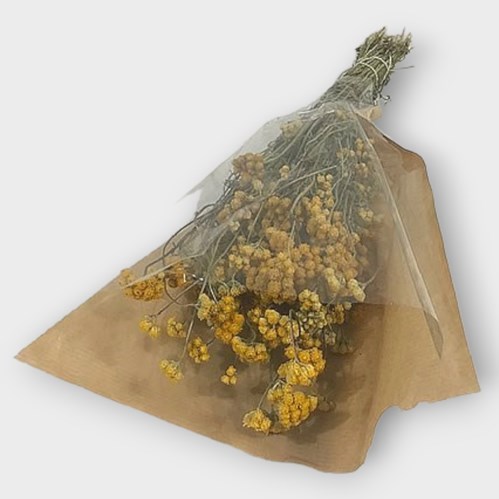 LONAS NATURAL (DRIED)