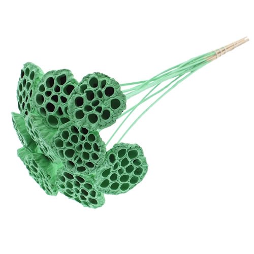 LOTUS HEAD PICKS - MINT GREEN