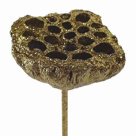 LOTUS HEADS GOLD + GLITTER
