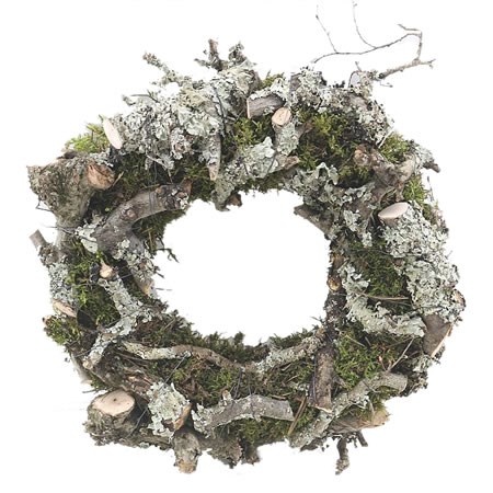 Bonsai, Larix & Moss Ring 30cm