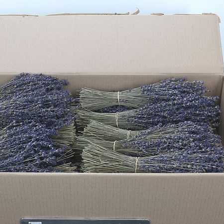 Lavender (Dried)