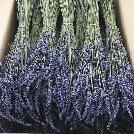 Lavender Super Blue 100gram (Dried) 30cm