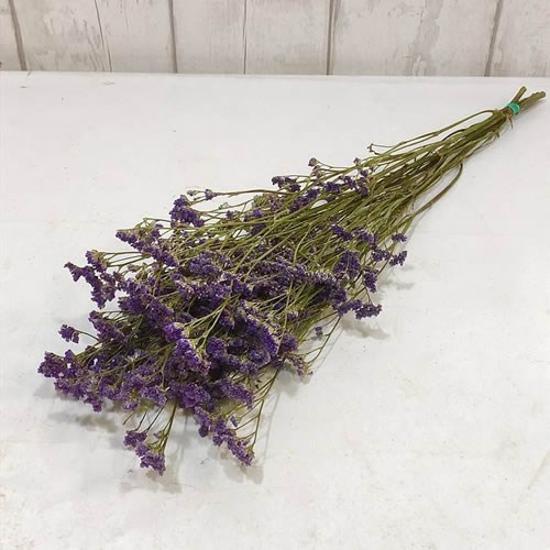 Limonium Purple (Dried) 60cm Dried Flowers Wholesale UK Florist