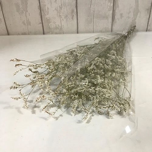 Limonium White - Dried