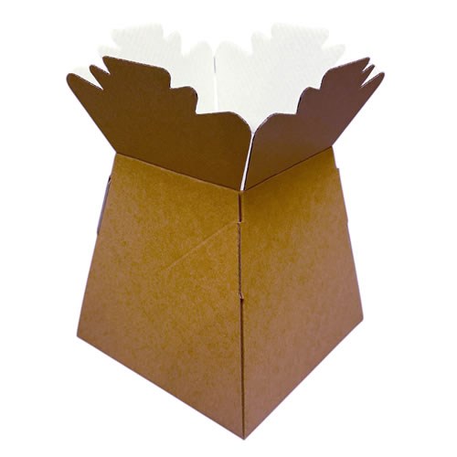 Living Vases - Kraft