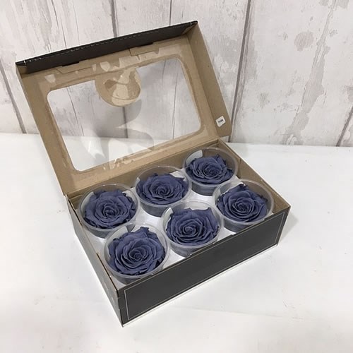 Preserved Roses - Grey