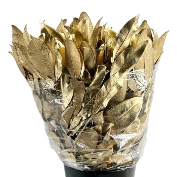 MAGNOLIA LEAVES DYED GOLD