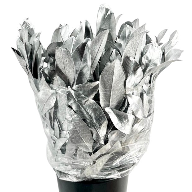 MAGNOLIA LEAVES DYED SILVER