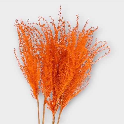 MISCANTHUS GRASS DYED ORANGE (dried)