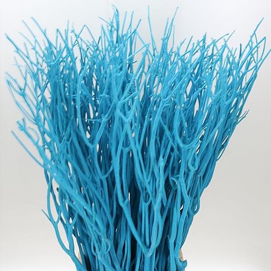MITSUMATA DYED AQUA BLUE